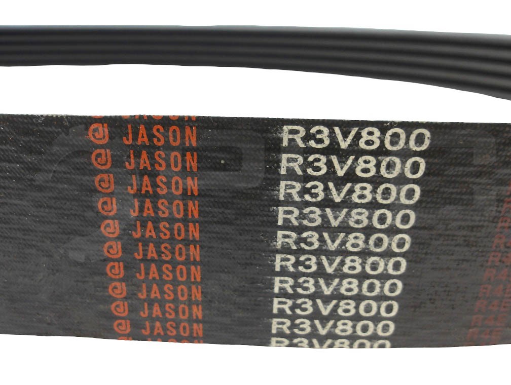 NEW JASON R3V800 V BELT