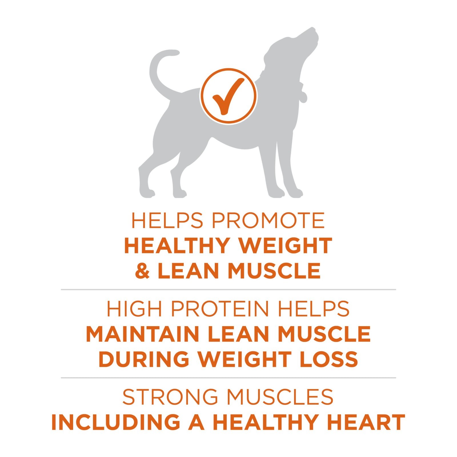 Purina ONE Plus Healthy Weight High-Protein Dog Food Dry Formula – 31.1 lb. Bag