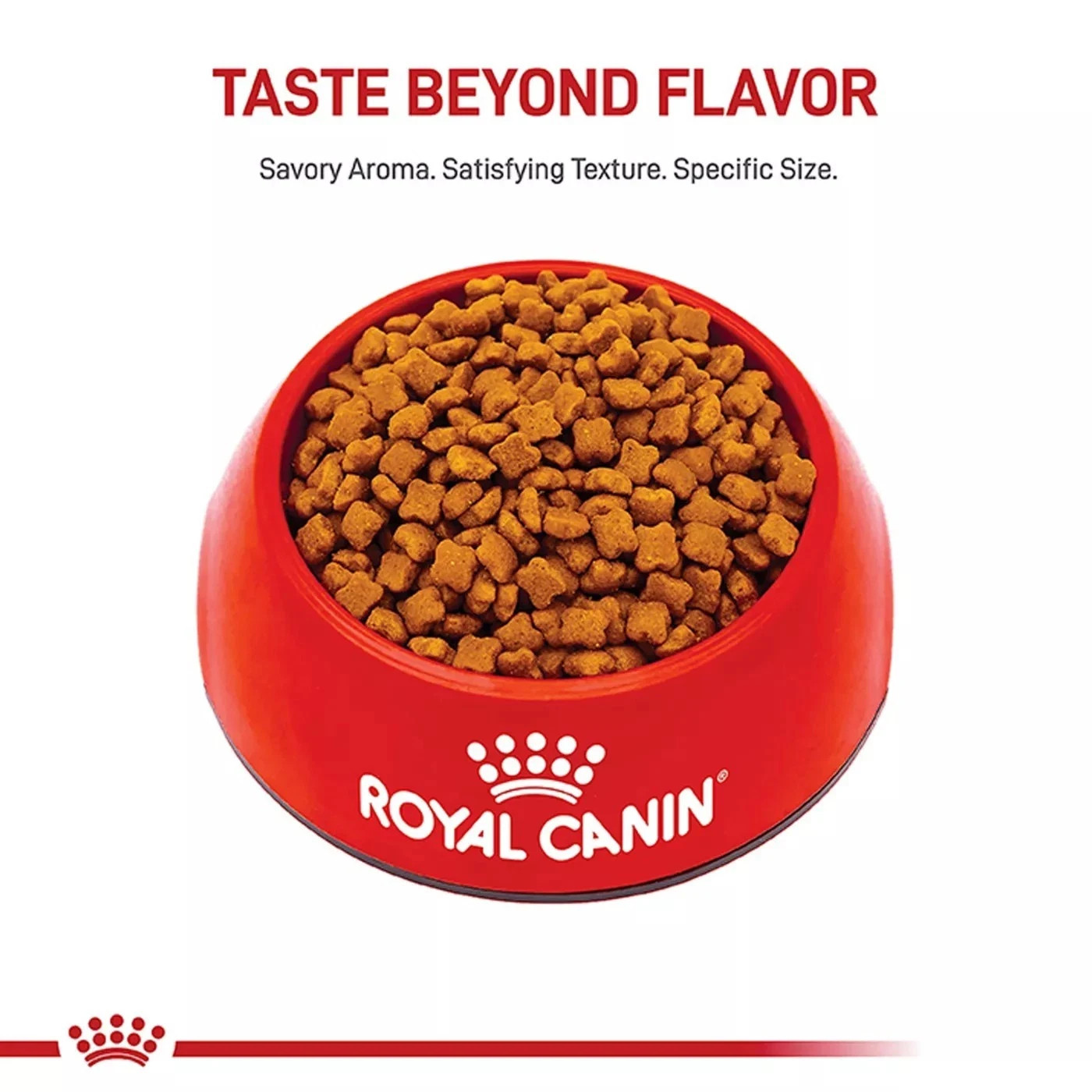 Royal Canin Feline Health Nutrition Kitten Dry Cat Food, 14 lb