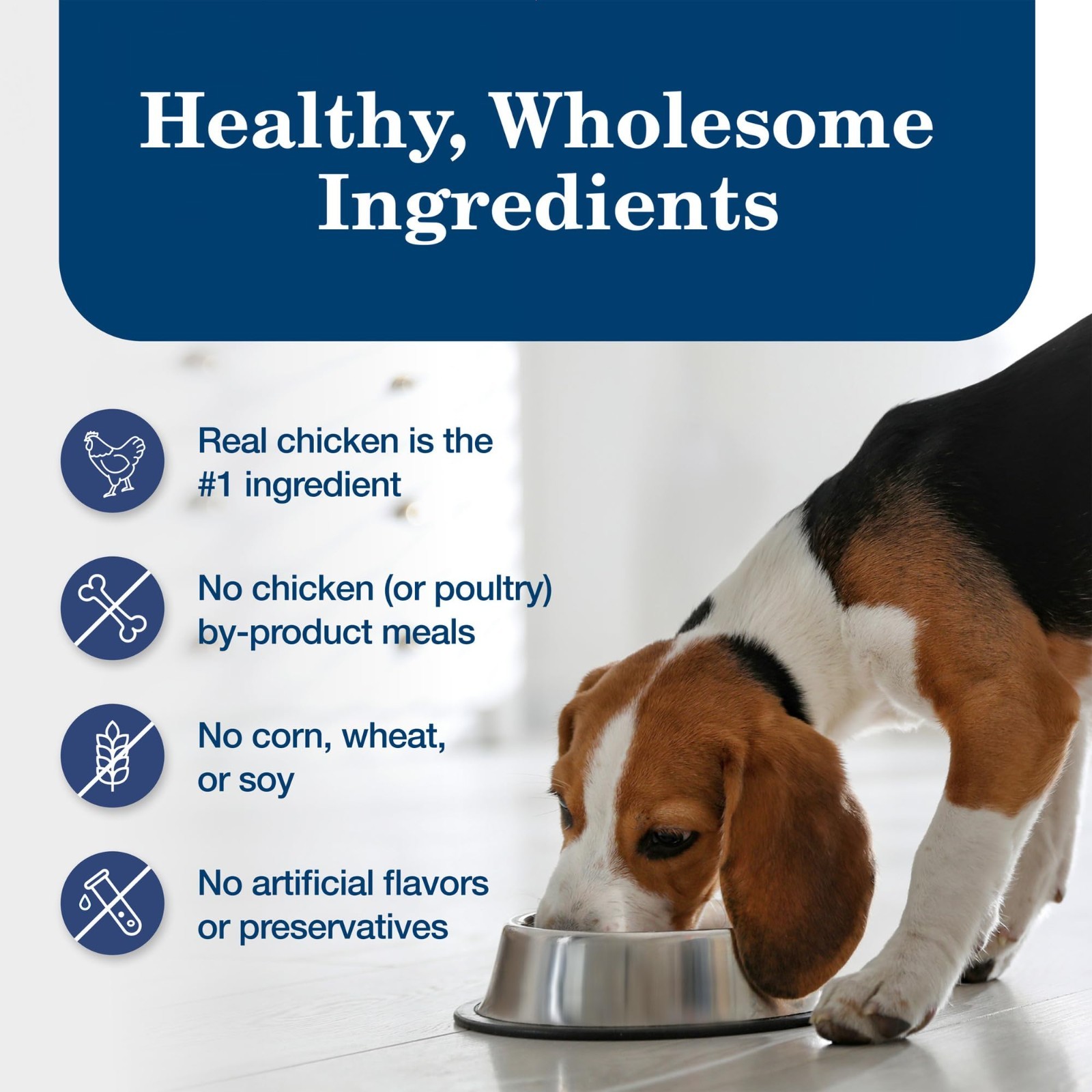 Blue Buffalo Homestyle Recipe Adult Wet Dog Food, Chicken – 12.5 Oz x 24 count