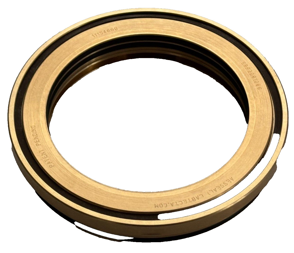 NEW IN BOX Aesseal L1M075PP-001-M100 Seal