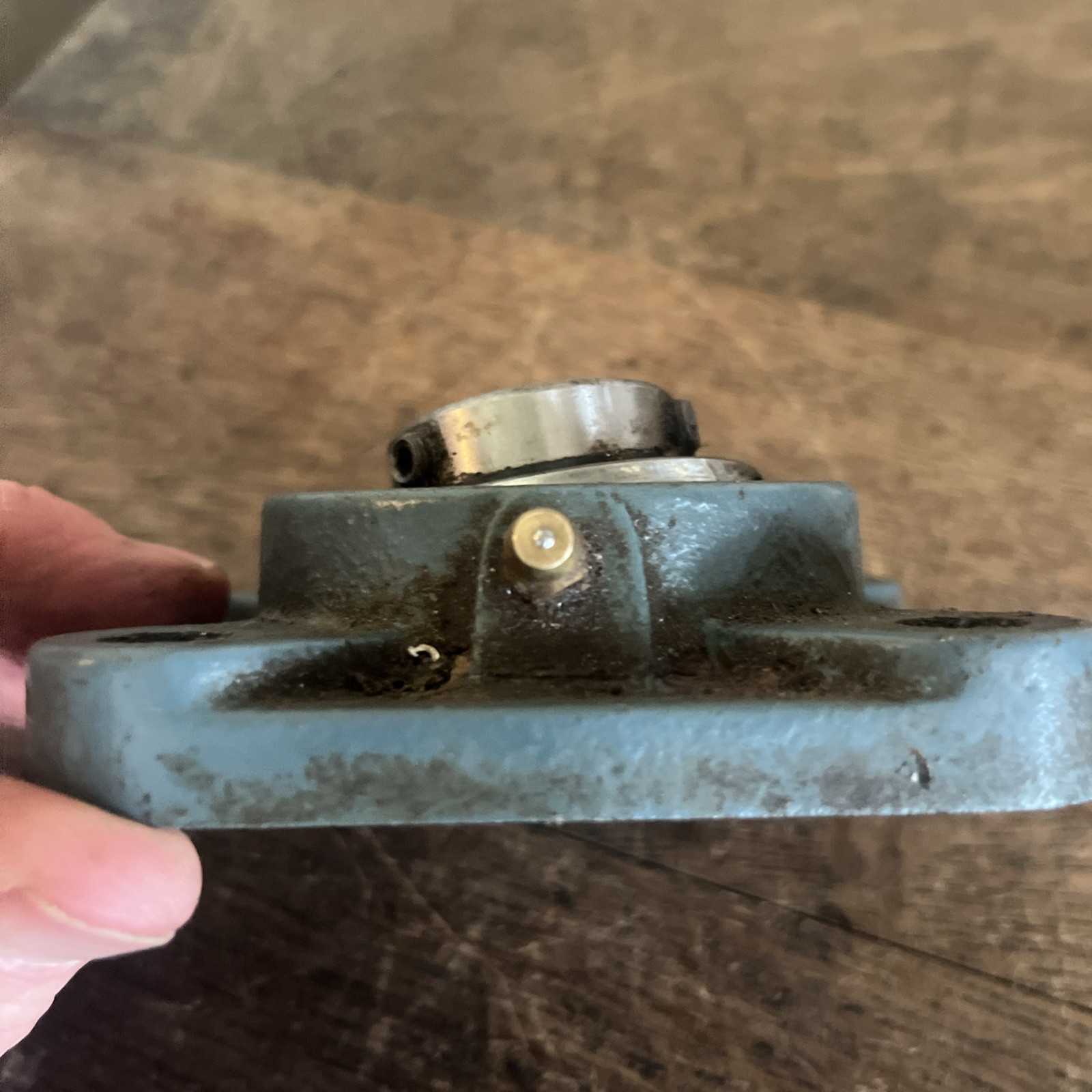 AMI F205 Four Hole Flanged Bearing, W/ ASAHI UO205-16 Insert Bearing Used