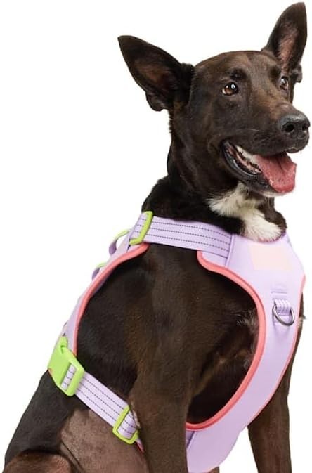Tactical Service Dog Harness, Pink, XX-Large/3X-Large