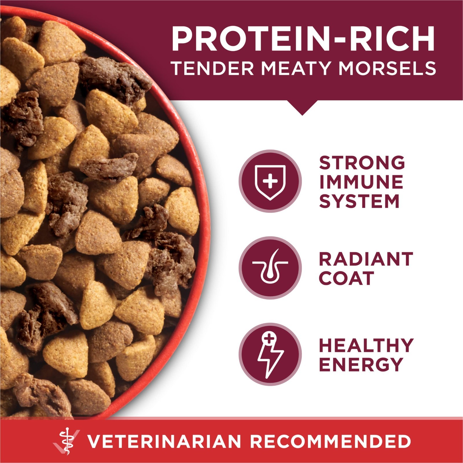 Purina ONE Small Bites Beef and Rice Formula Small High Protein Dry Dog, 2 PACK