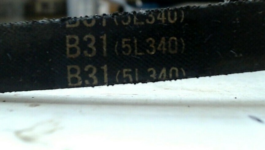 Jason B31 Belt
