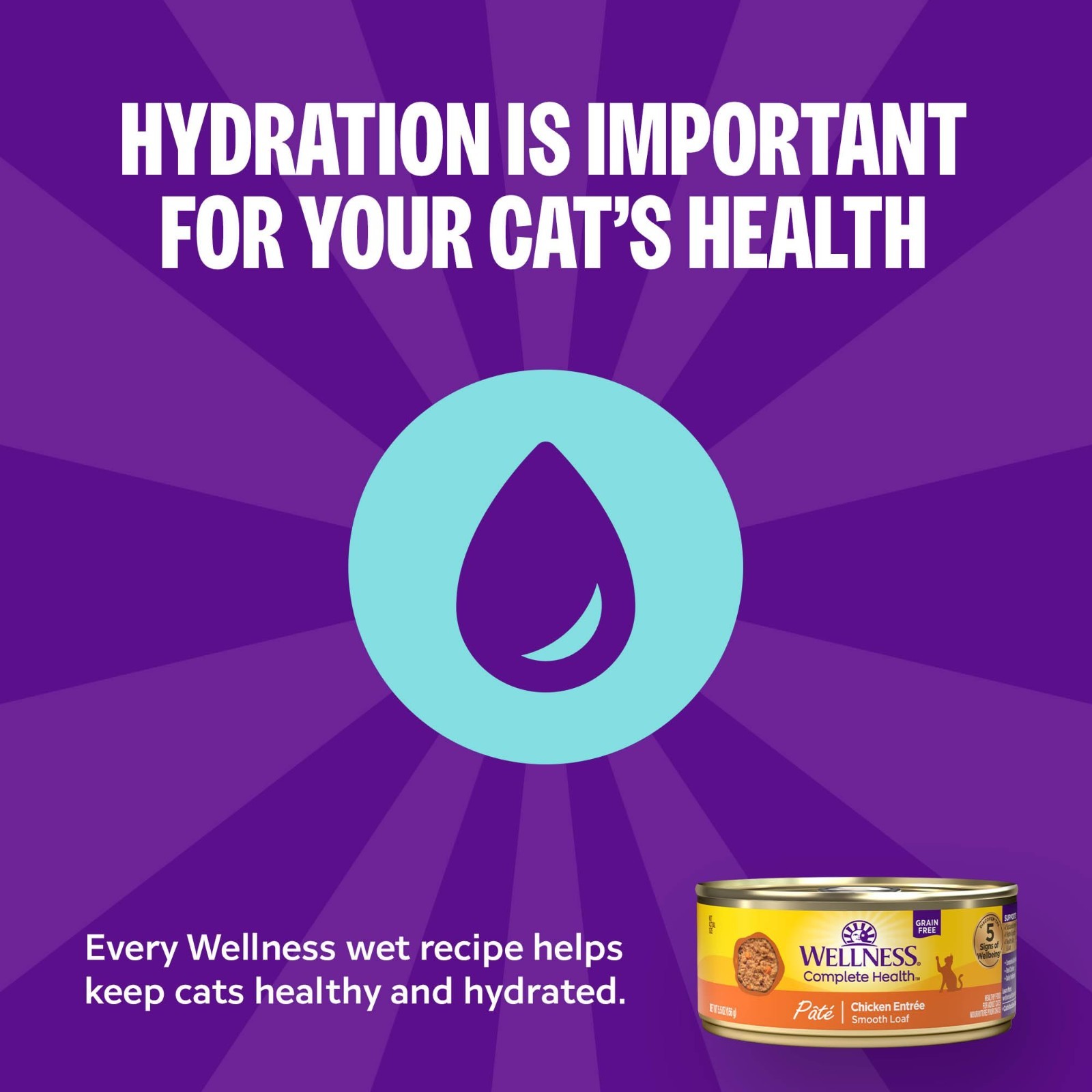 Wellness Complete Health Pate Adult Canned Wet Cat Food, Chicken, 12.5 oz, 12 Ct