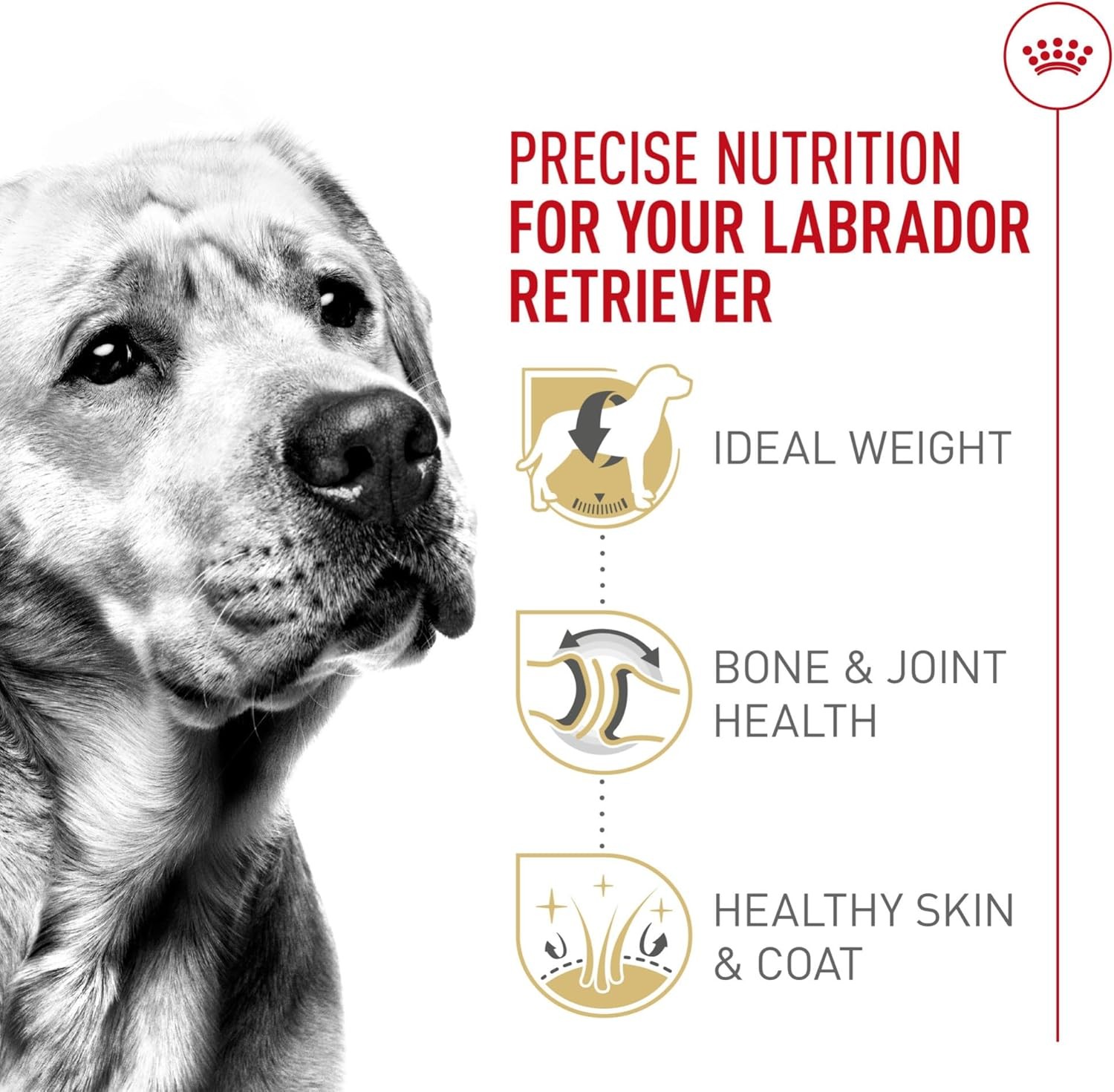 Breed Health Nutrition Labrador Retriever Adult Dry Dog Food, 30 lbs.