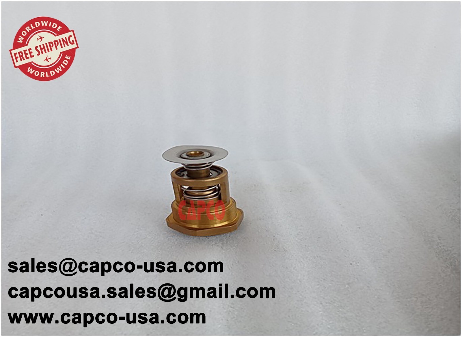 Thermostatic Valve Kit 1513015901