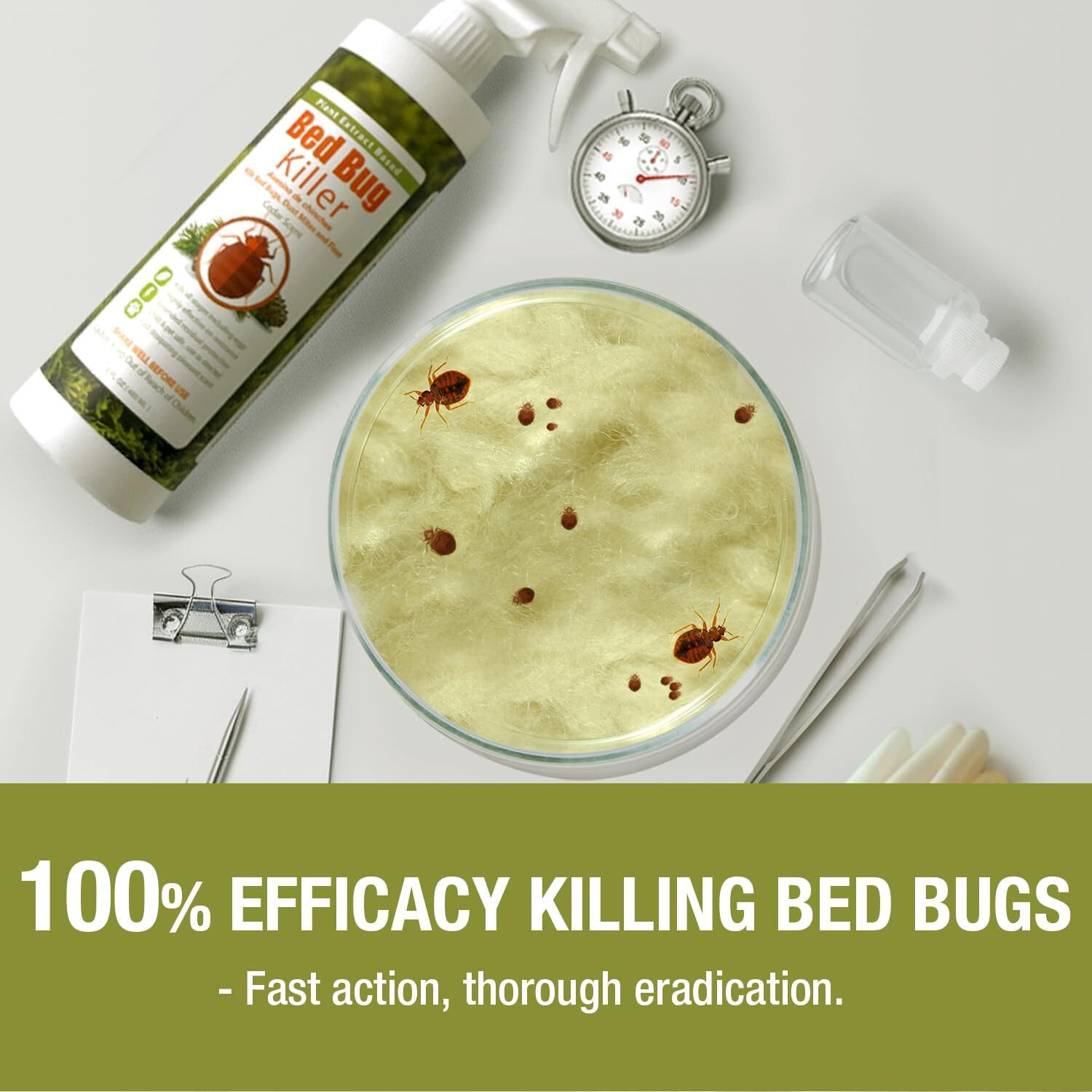 Ecoraider Bed Bug Killer Non Toxic Plant Extract Based 16 fl oz spraY Bottle