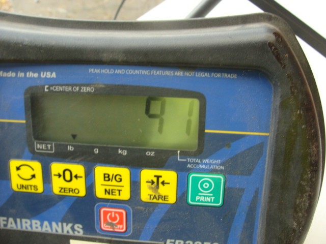 FINISH THOMPSON MAGNETIC DRIVE PUMP DB15P-14 IMP: Ø 5.13 90PSI BALDOR MOTOR 3HP