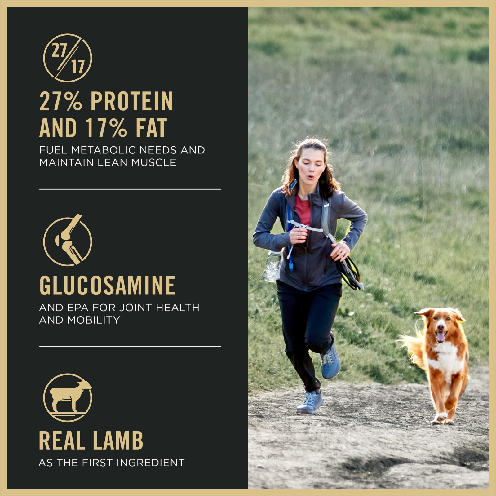 Purina Pro Plan High Protein Dog Food, Small Bites, SPORT 27/17 Lamb, 37.5 lb. B
