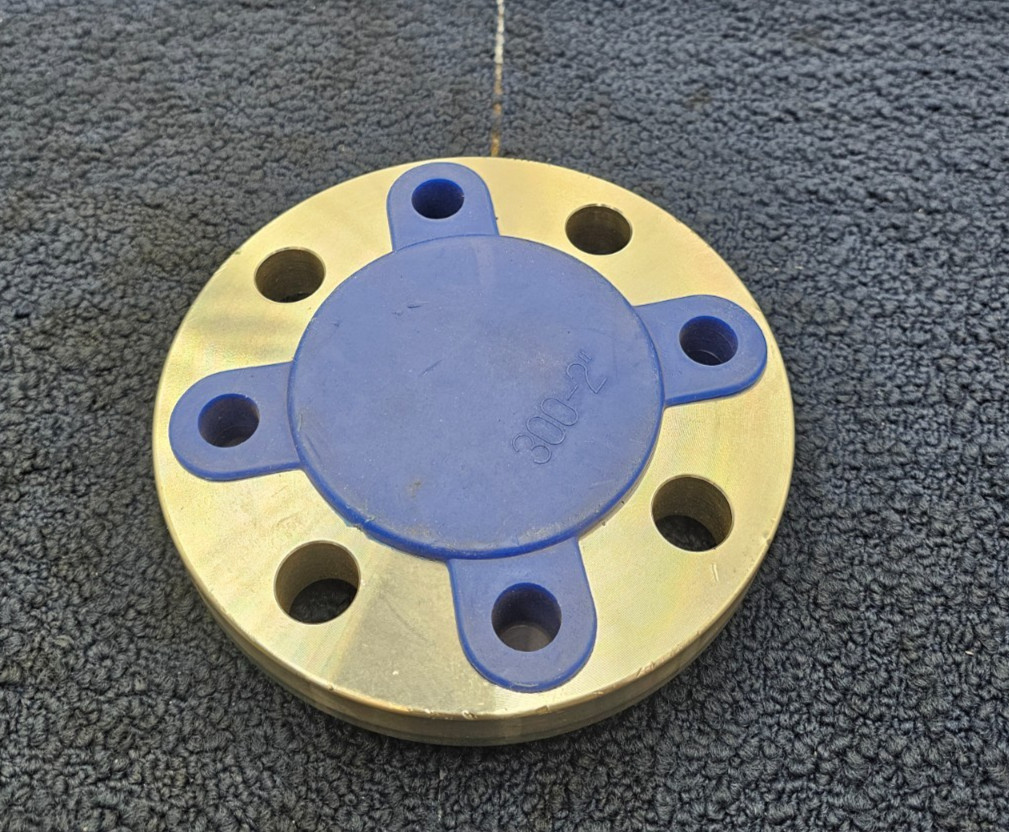 FTC B16.5 300-2″ Stainless Steel Flange 300 2 A/S A182 F316/316L N221209AS06