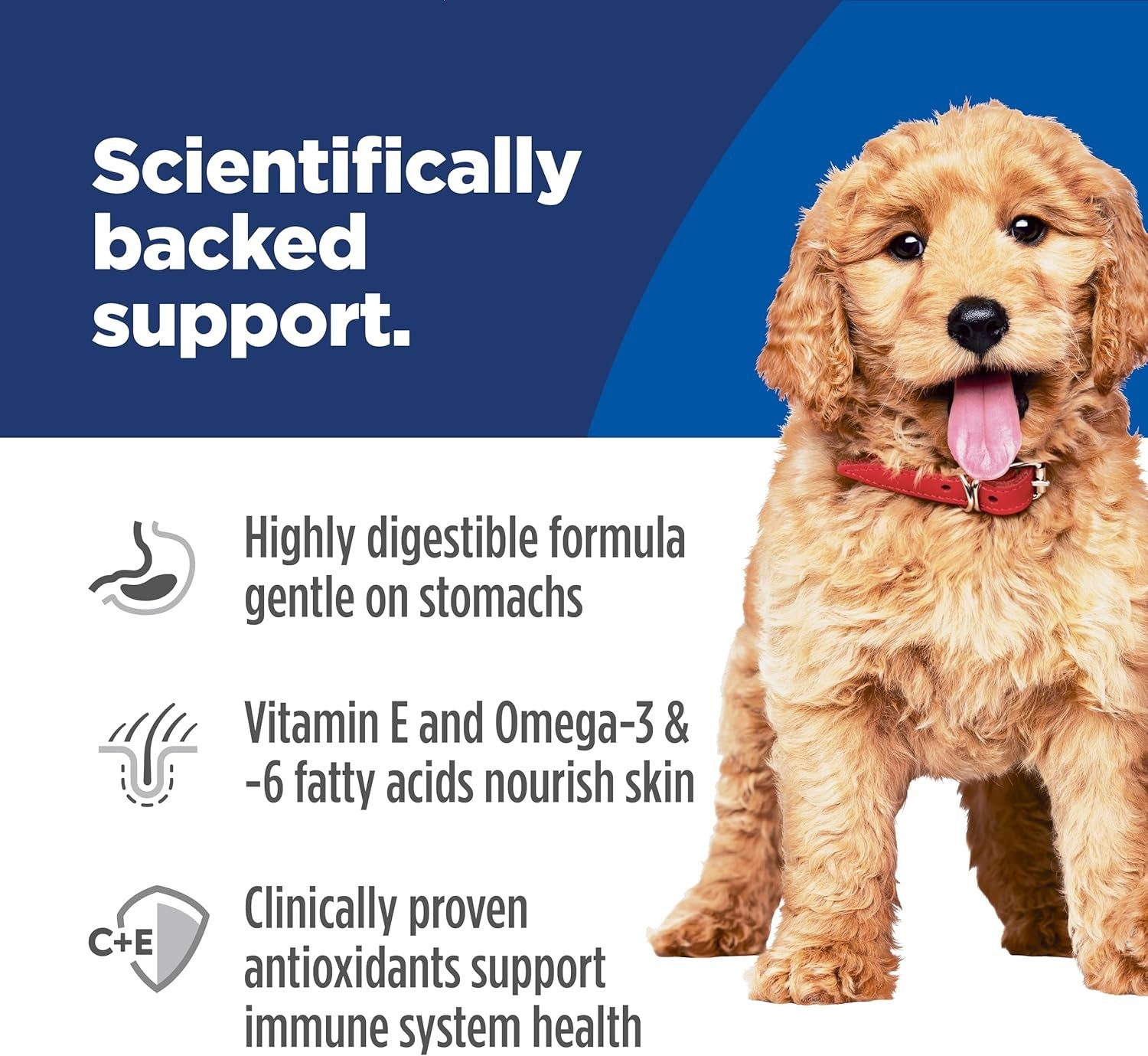 Hill’s Science Diet Sensitive Stomach & Skin Puppy Dry Food -Salmon &Brown, 13Lb