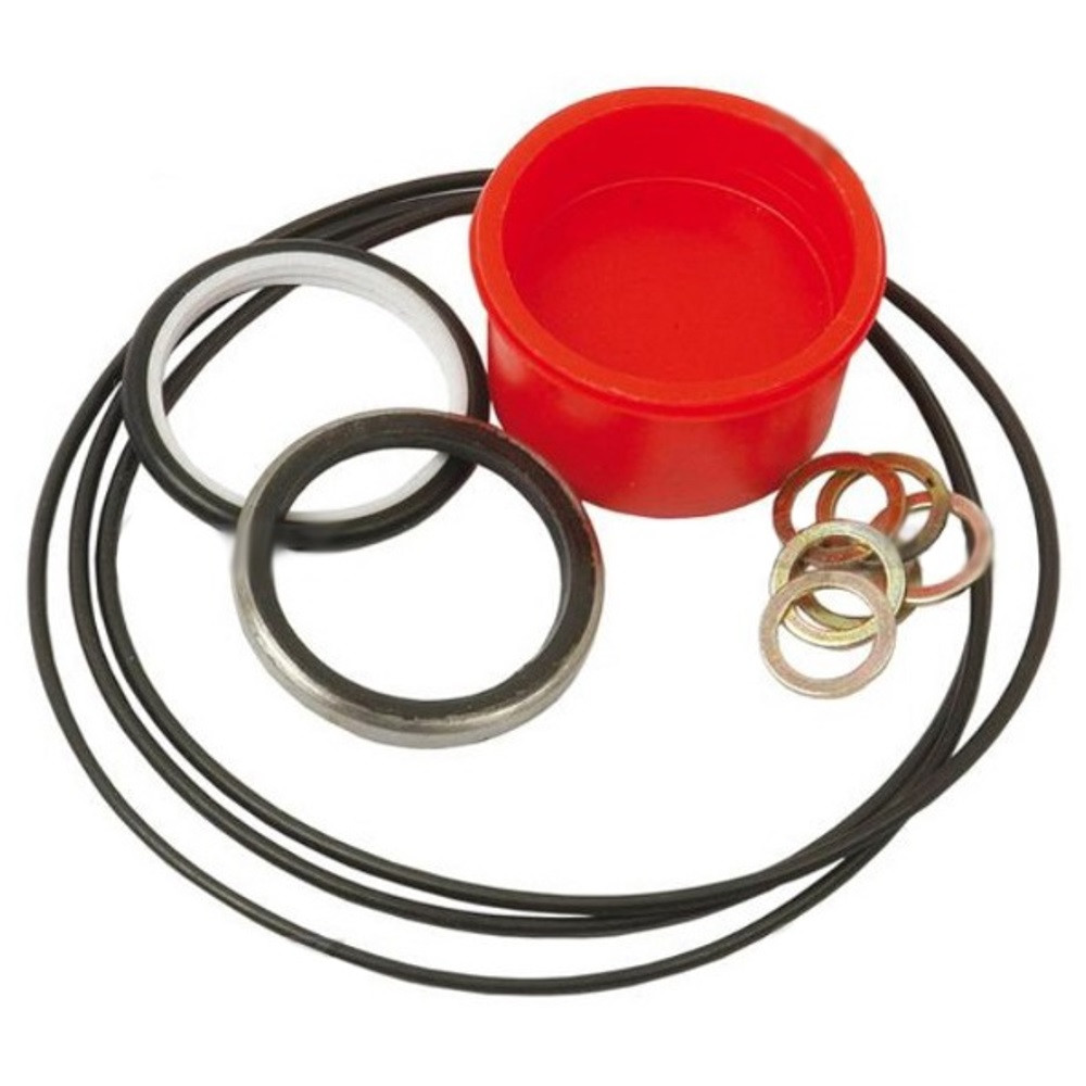 1810503M92 Orbital Steering Unit Danfoss Seal Kit – Fits Massey Ferguson 275 285