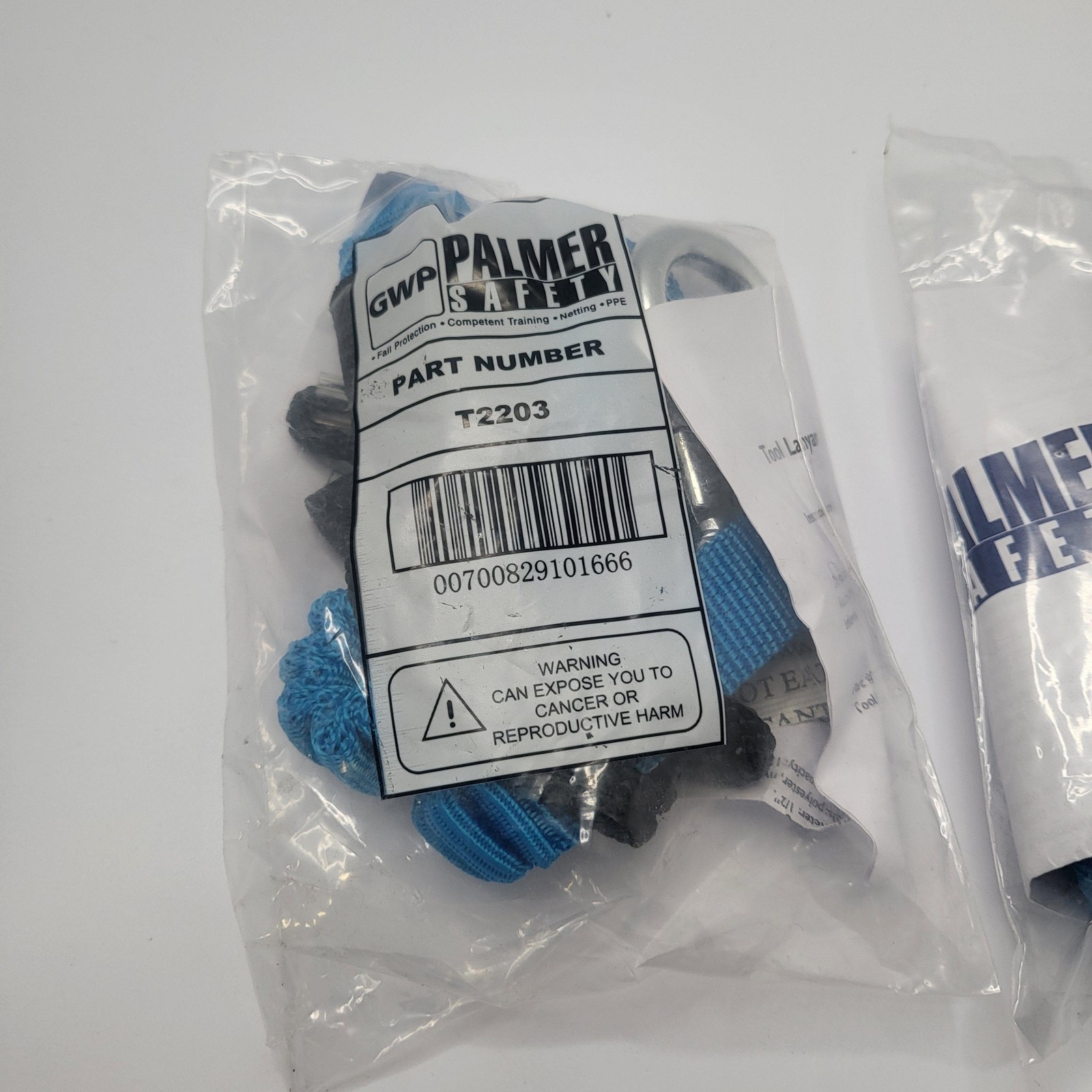 2pk GWP Palmer Safety T2203 Blue Tool Lanyard Screw Gate Carabiner 15 LB Max