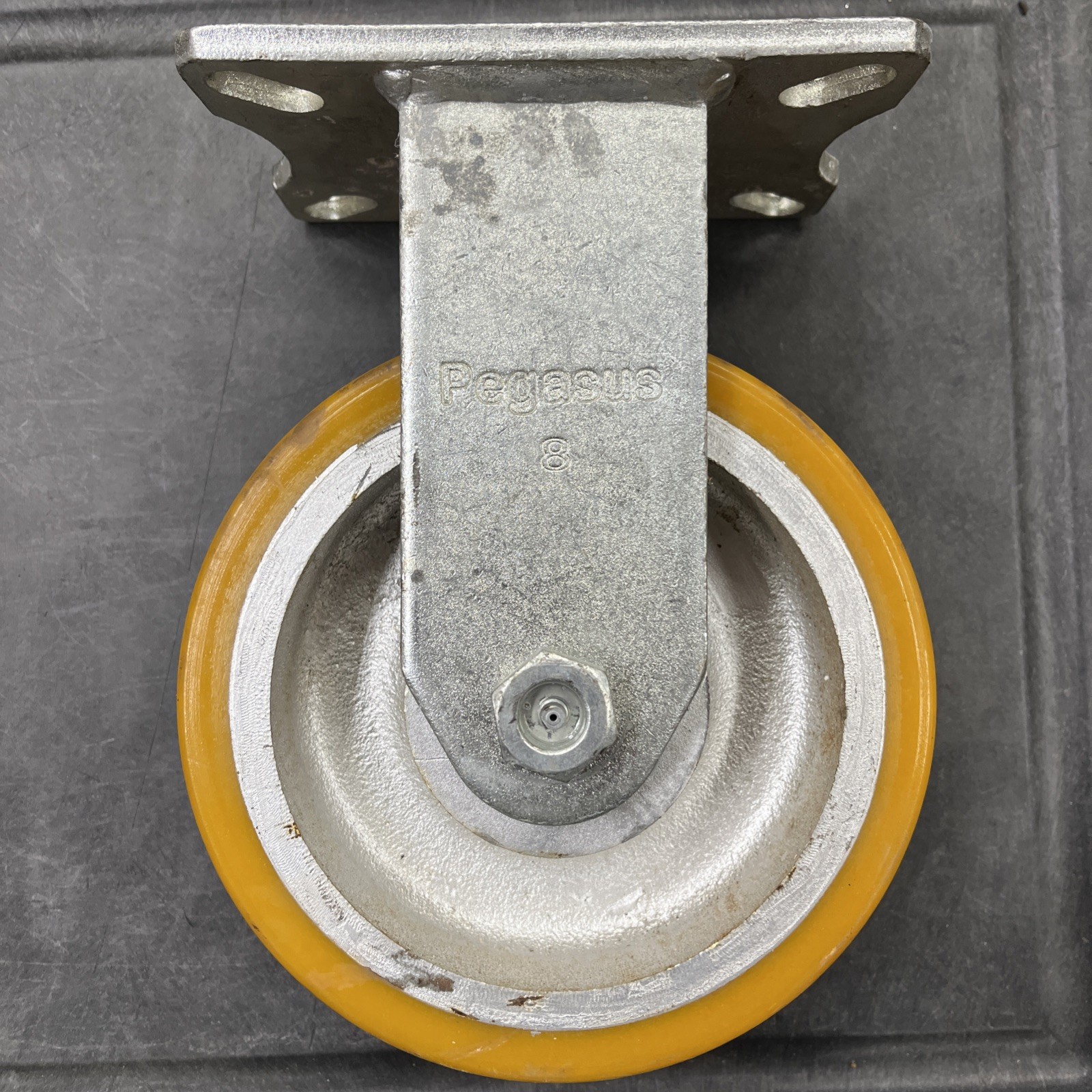 Pegasus 8″ Wheel Dia Standard Rigid Plate Caster 2500 lb P29R-UY080K-18