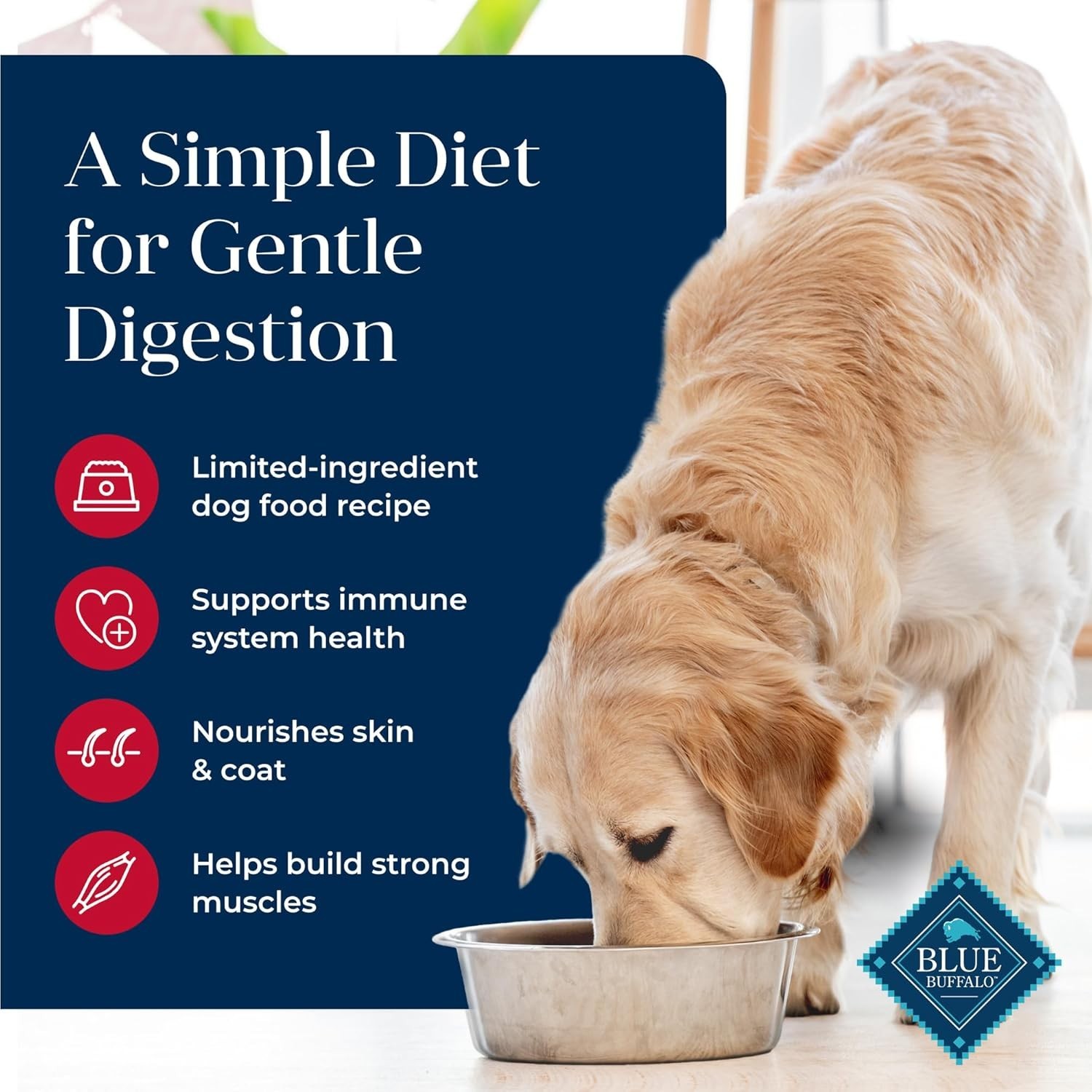 Blue Basics Grain-Free Adult Dog Dry Food – Grain Free, Salmon Recipe – 22 Lb