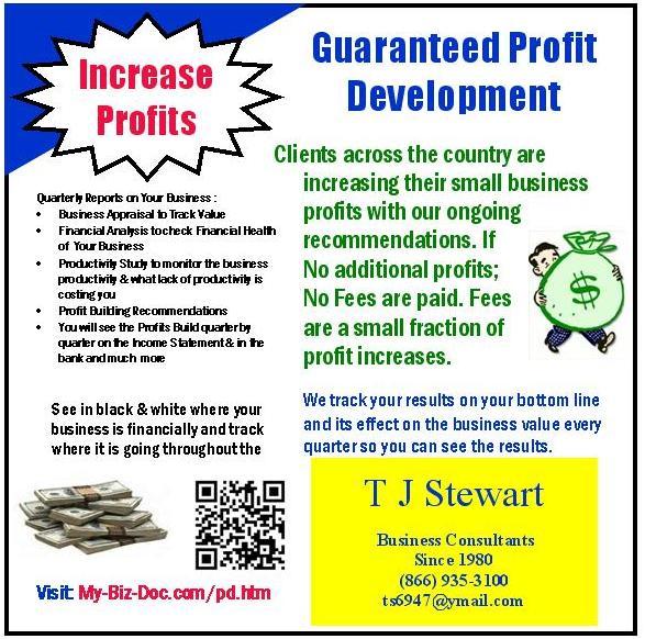 Guaranteed Small Business Profit Increases – No Profit No Fee