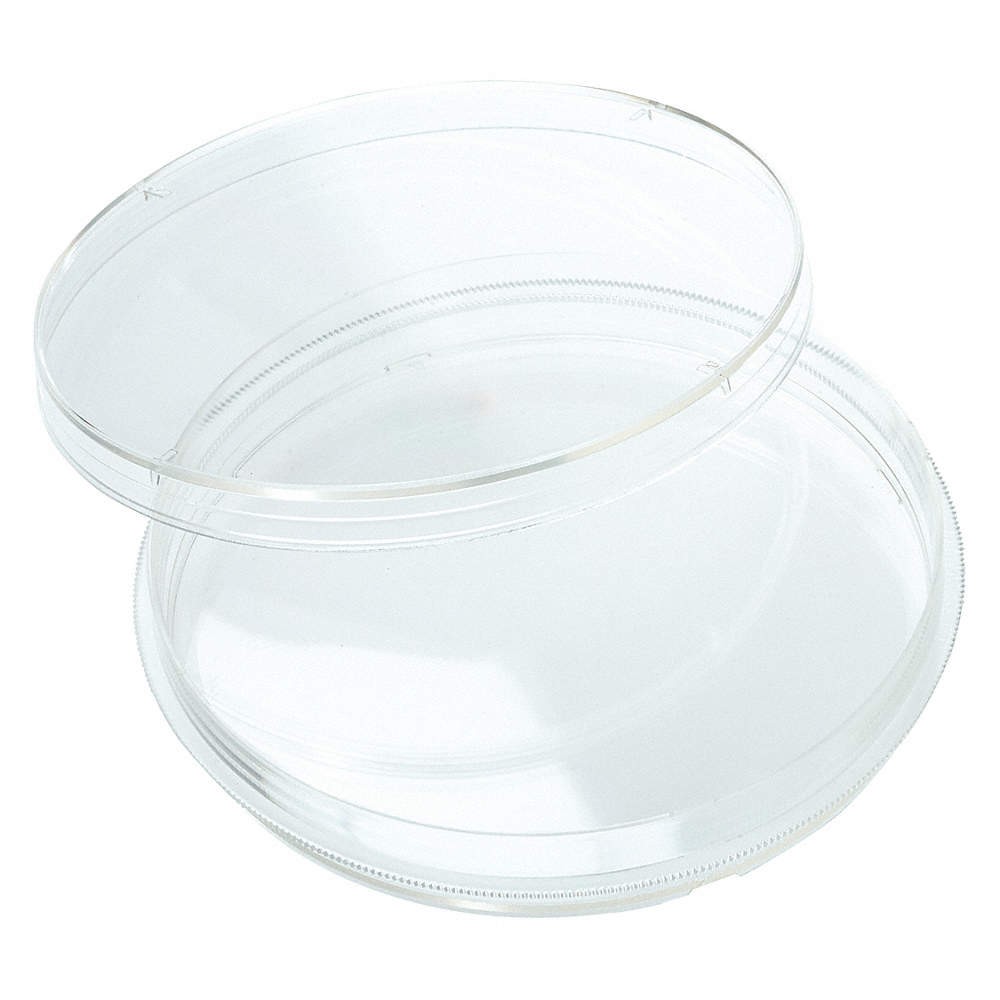 CELLTREAT 229692 Petri Dish,100 x 15 mm,16 mL,PK300 48TD84