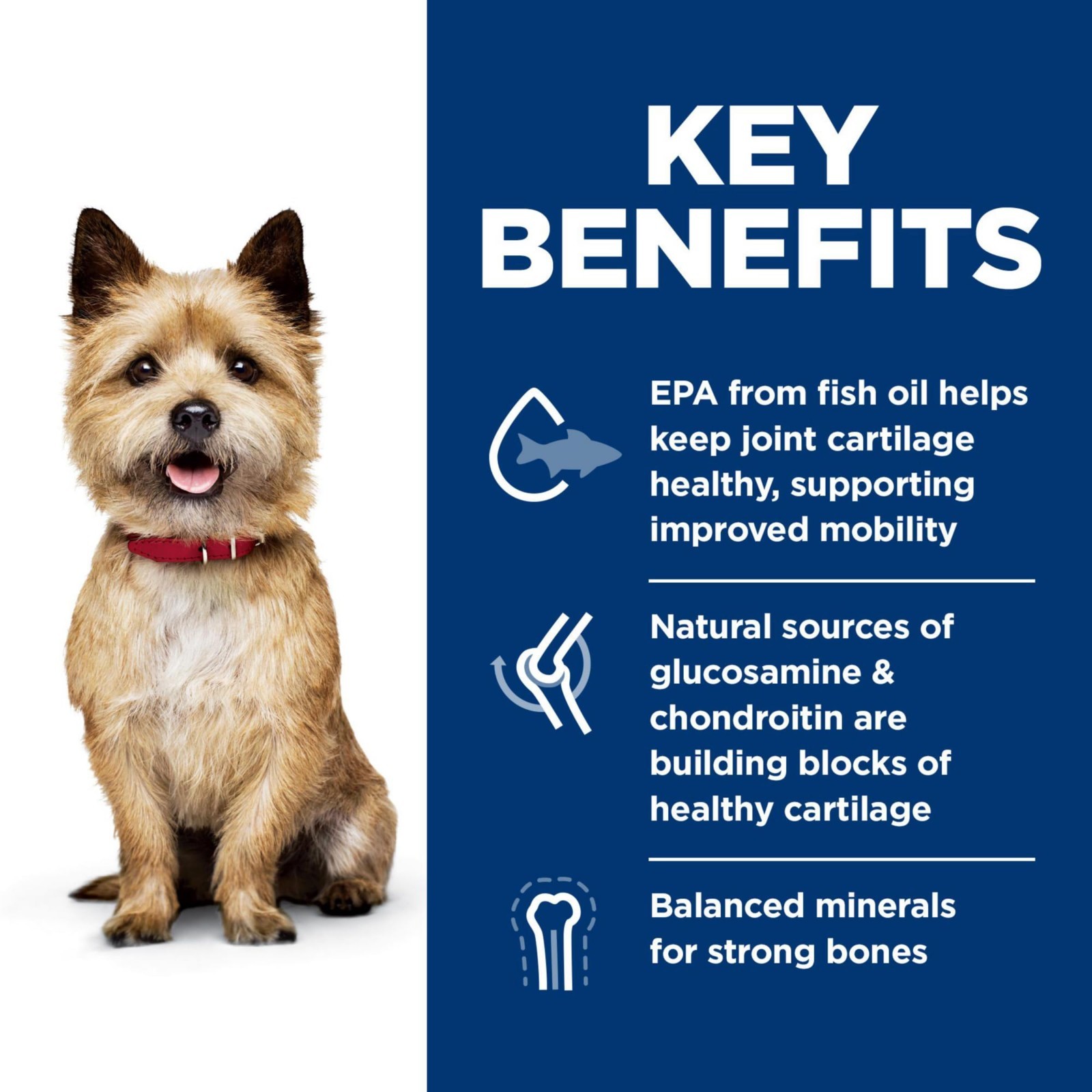 Hill’s Science Diet Healthy Mobility, Adult 1-6,Mobility Support,Dry Dog Food,30