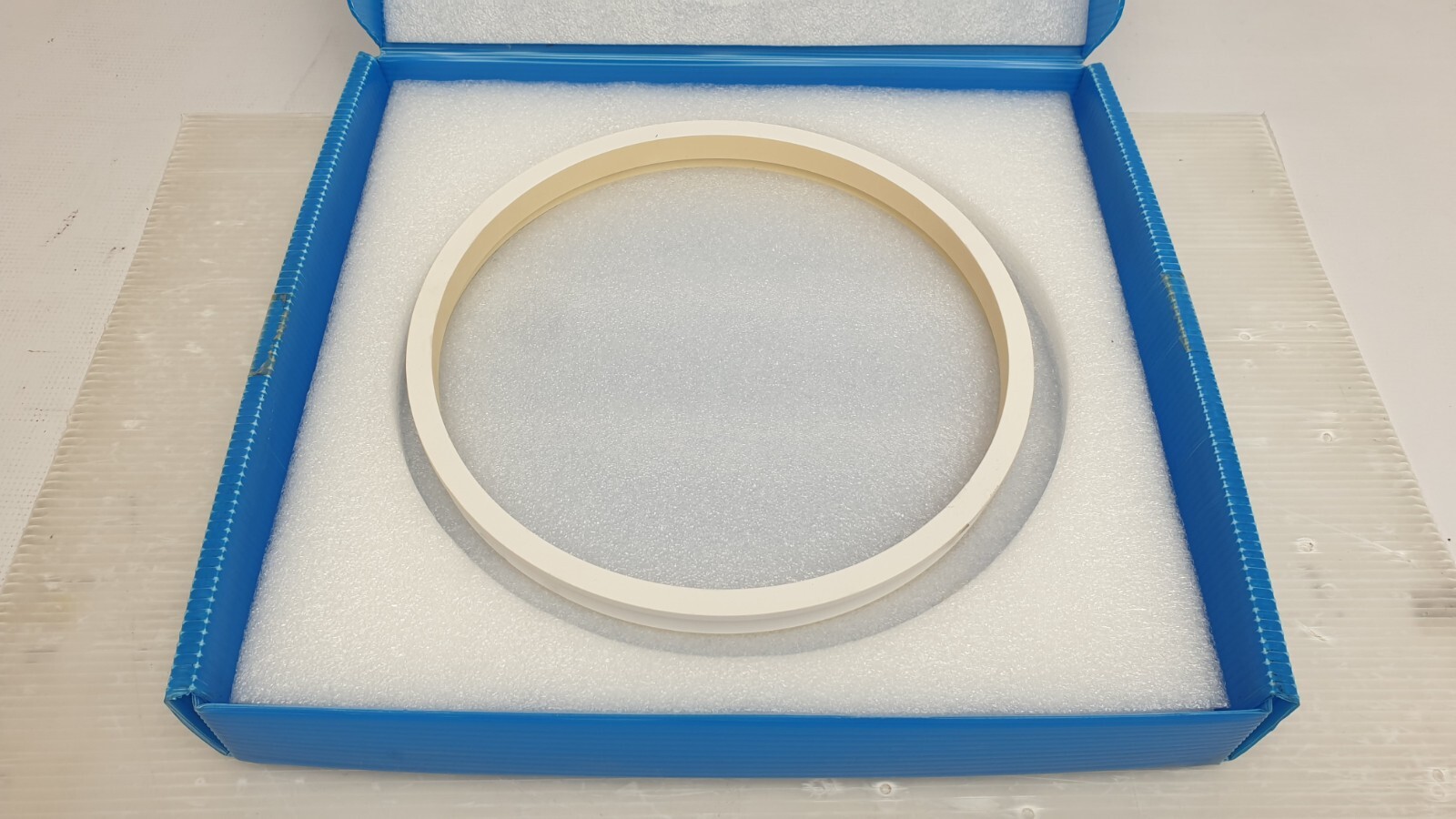Lam Research S31A-CB-006-Q Ceramic Isolation Ring 0.0mm BEOL