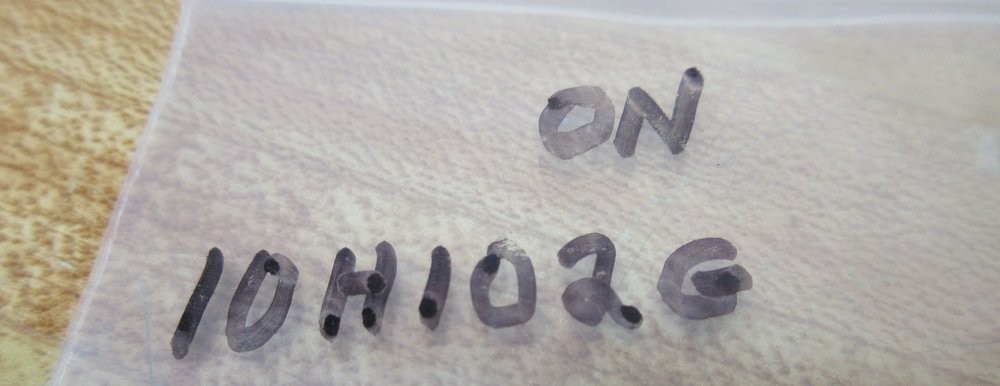 ON Semiconductor 10H102G Integrated Circuit (Pack of 4)