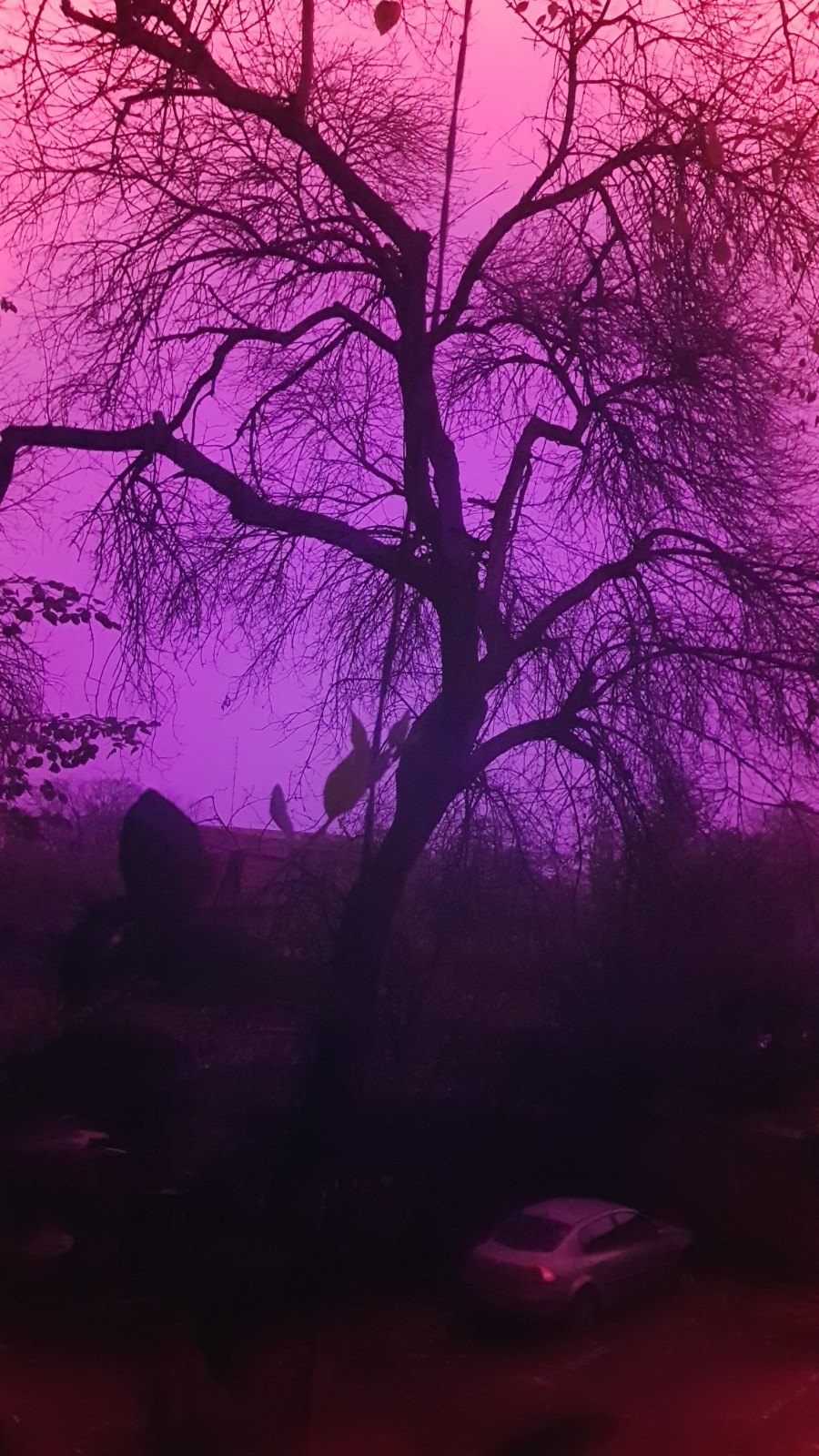 UV Photography Filter. Ultraviolet filter. See the transmission graphic. D=149mm