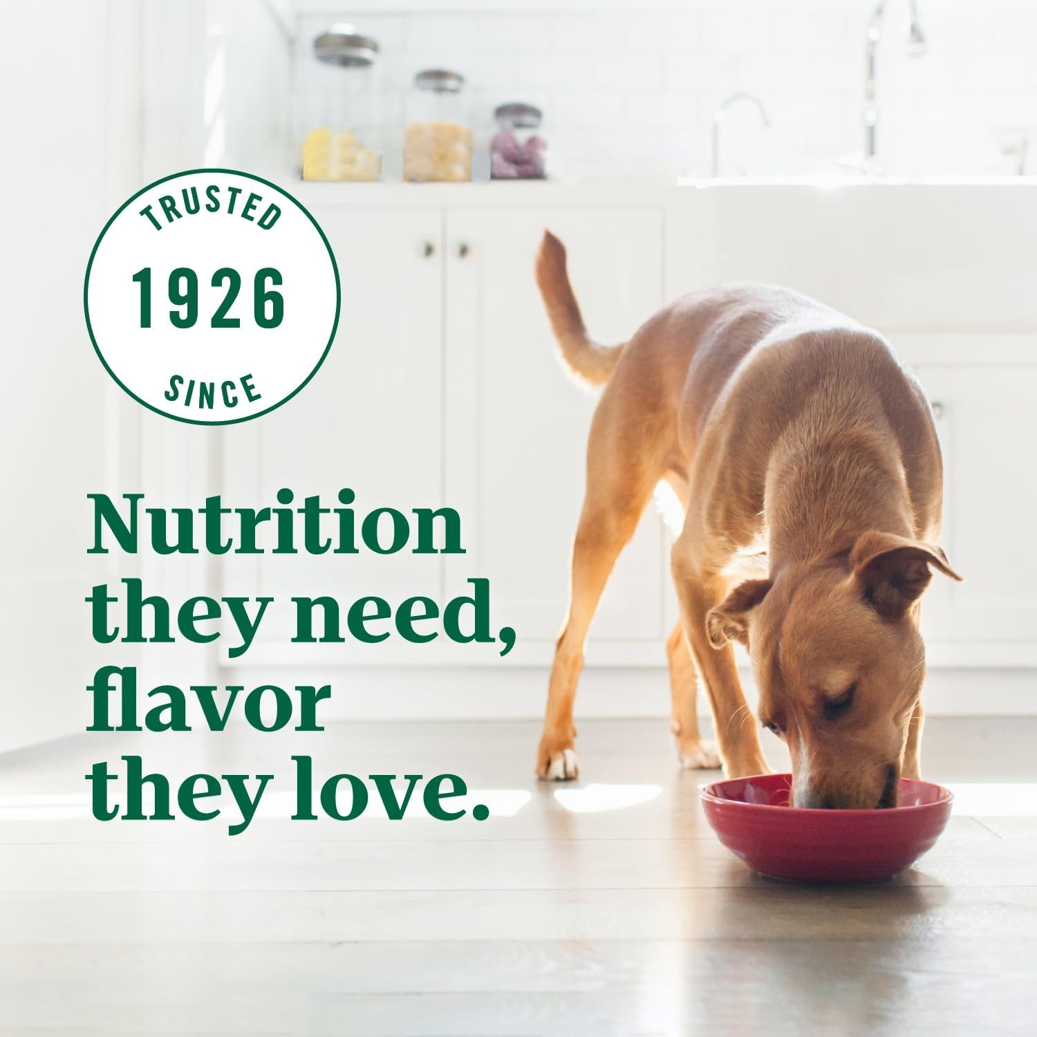 Nutro Ultra Adult Dry Dog Food with a Trio of Proteins from Chicken, Lamb, 30 lb