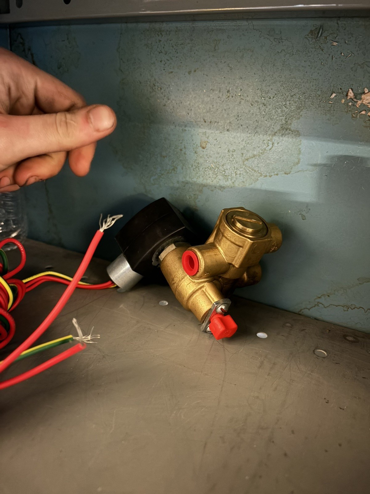 NEW NO BOX Asco/Red Hat EF8016G1 General Purpose Solenoid Valve
