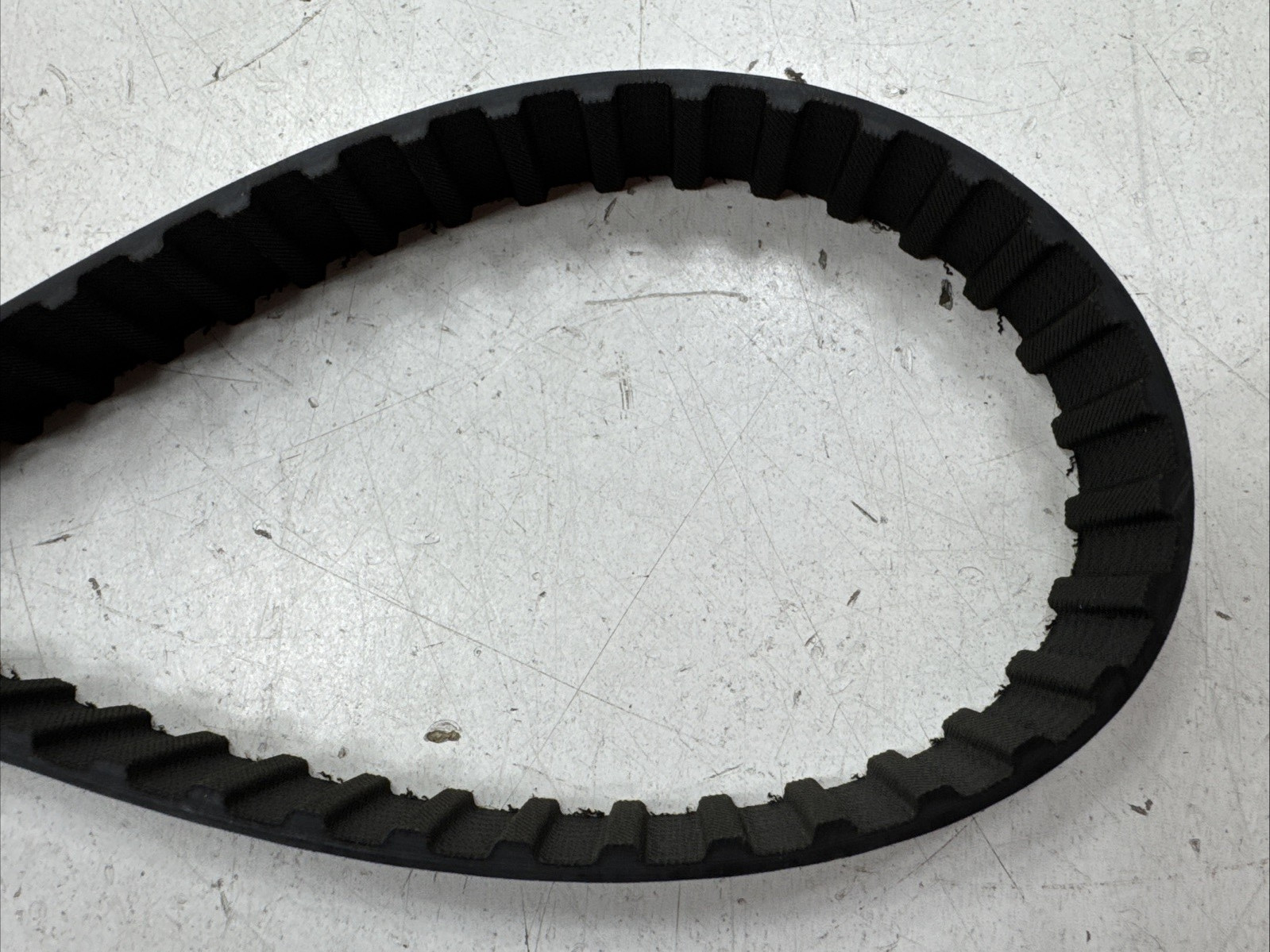 Continental Contitech 700H100 , 700 H100 , 700-H100 , Timing Belt