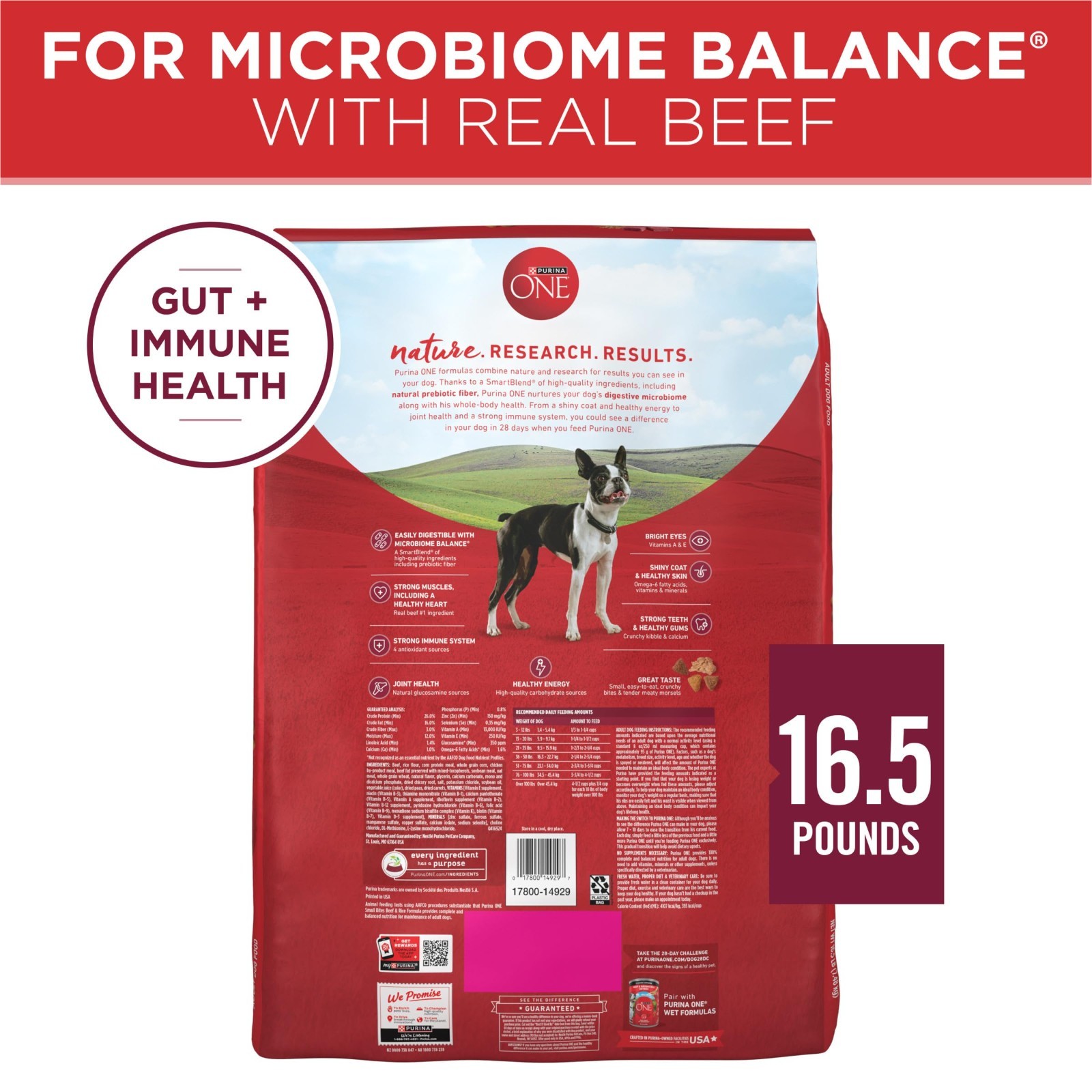 Purina ONE Small Bites Beef and Rice Formula Small High Protein Dry Dog, 2 PACK