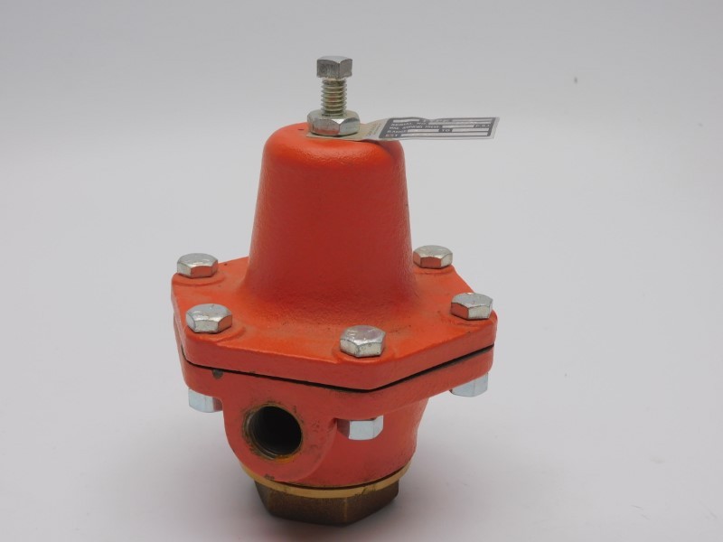 CASH VALVE TYPE B 25PSI 1/2″ NSNP