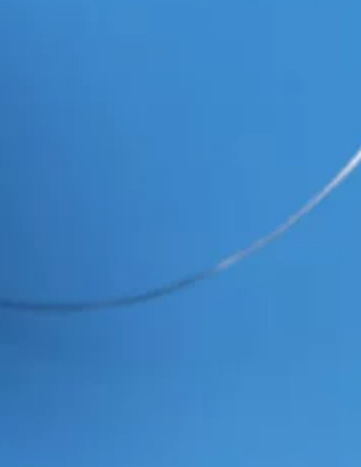 1PC Flame test platinum wire, platinum electrode Diameter 0.8mm / 1cm