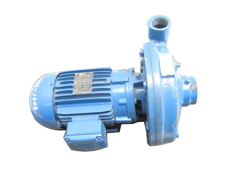 PACO PUMPS 10-1595/-63000/-2502 W/ WEG 00158ES3E145JM 208-230/460V