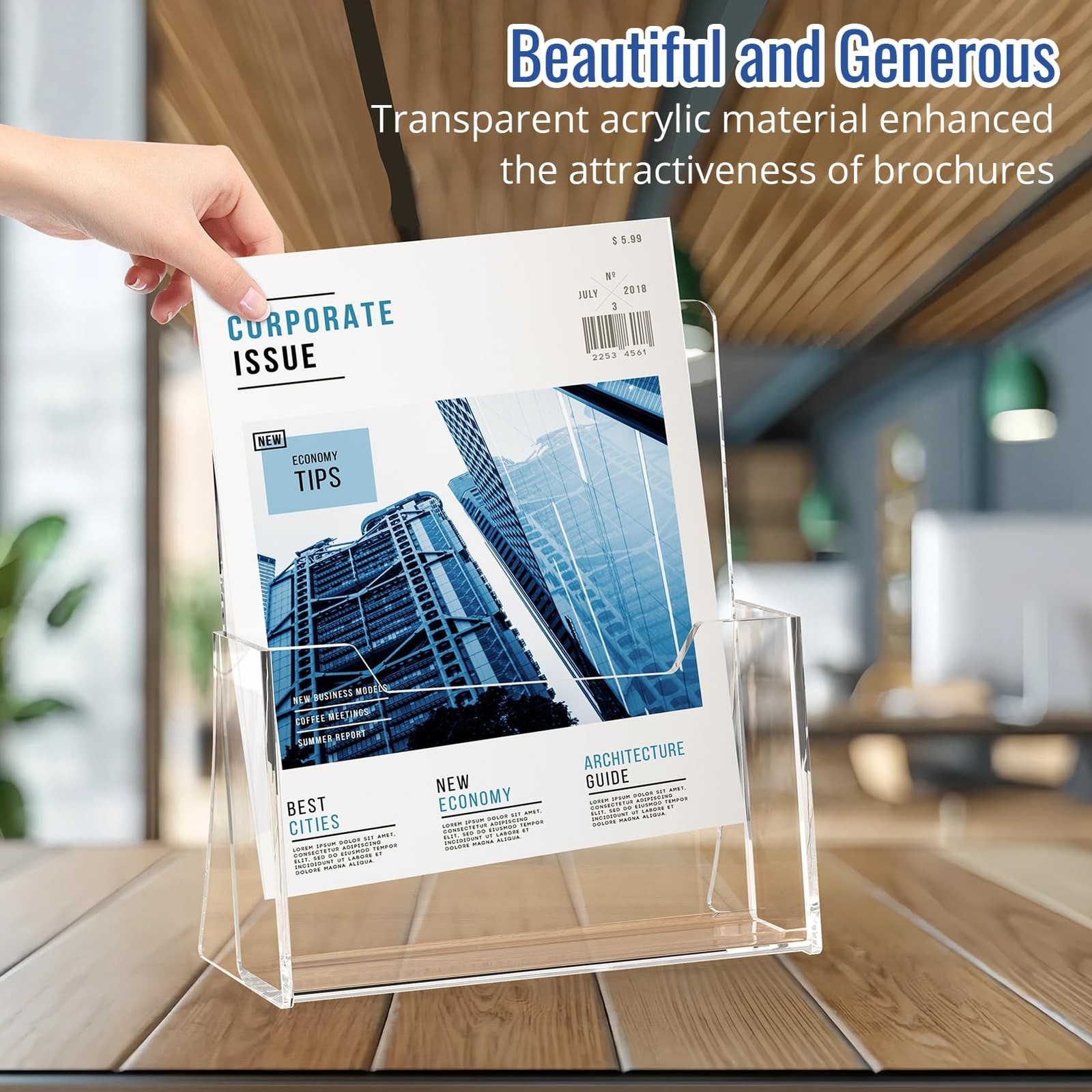 Acrylic Brochure Holder 8.5 x 11 inch 2 Pack, Clear Flyer Holder Plastic Stan…