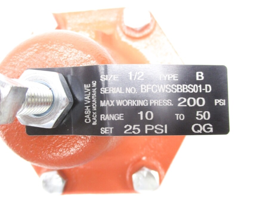 CASH VALVE TYPE B 200PSI 1/2″ NSNP