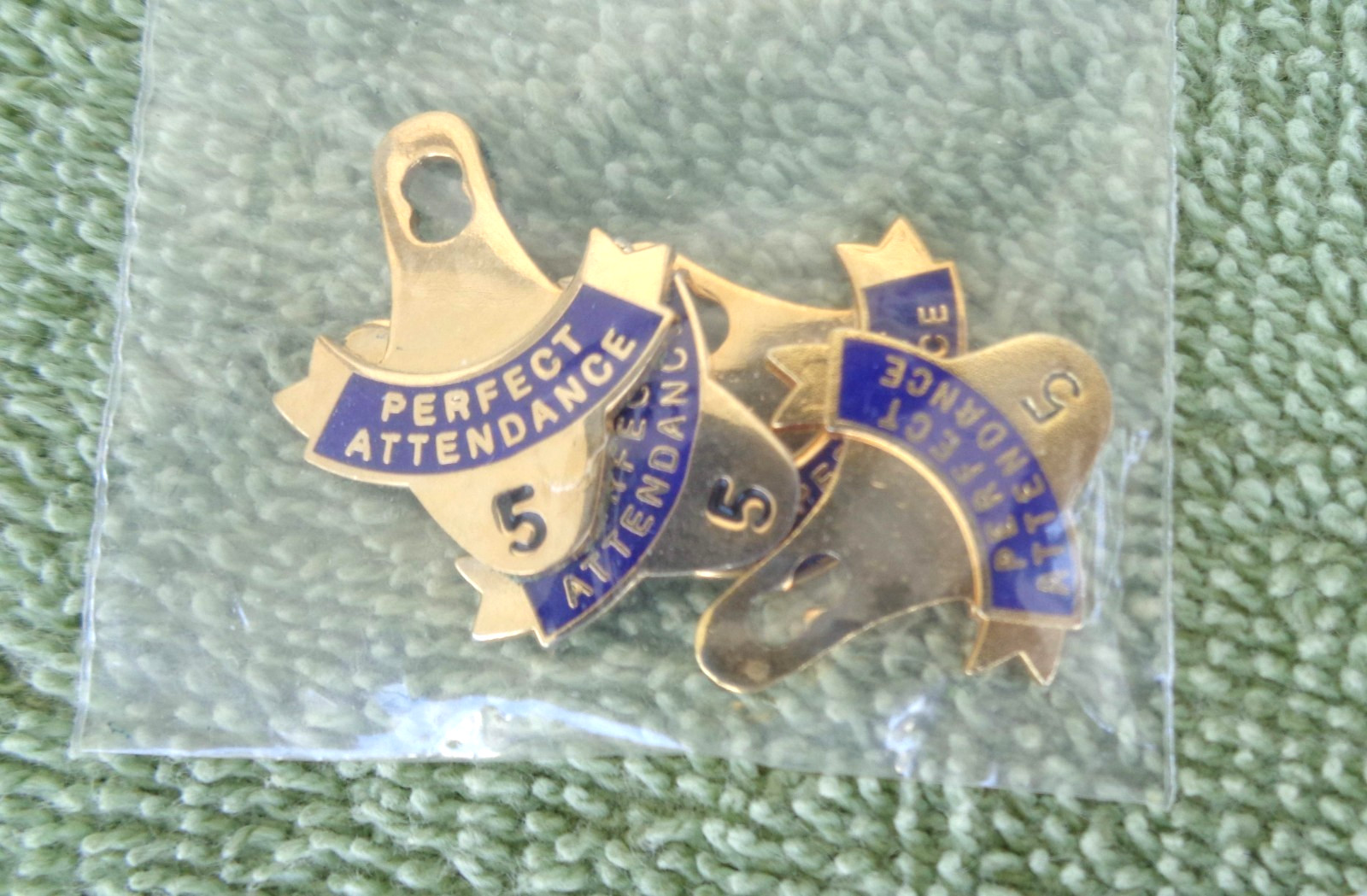Large Lot Gold Tone & Blue Perfect Attendance Pendants from 1 – 38 yr + Director