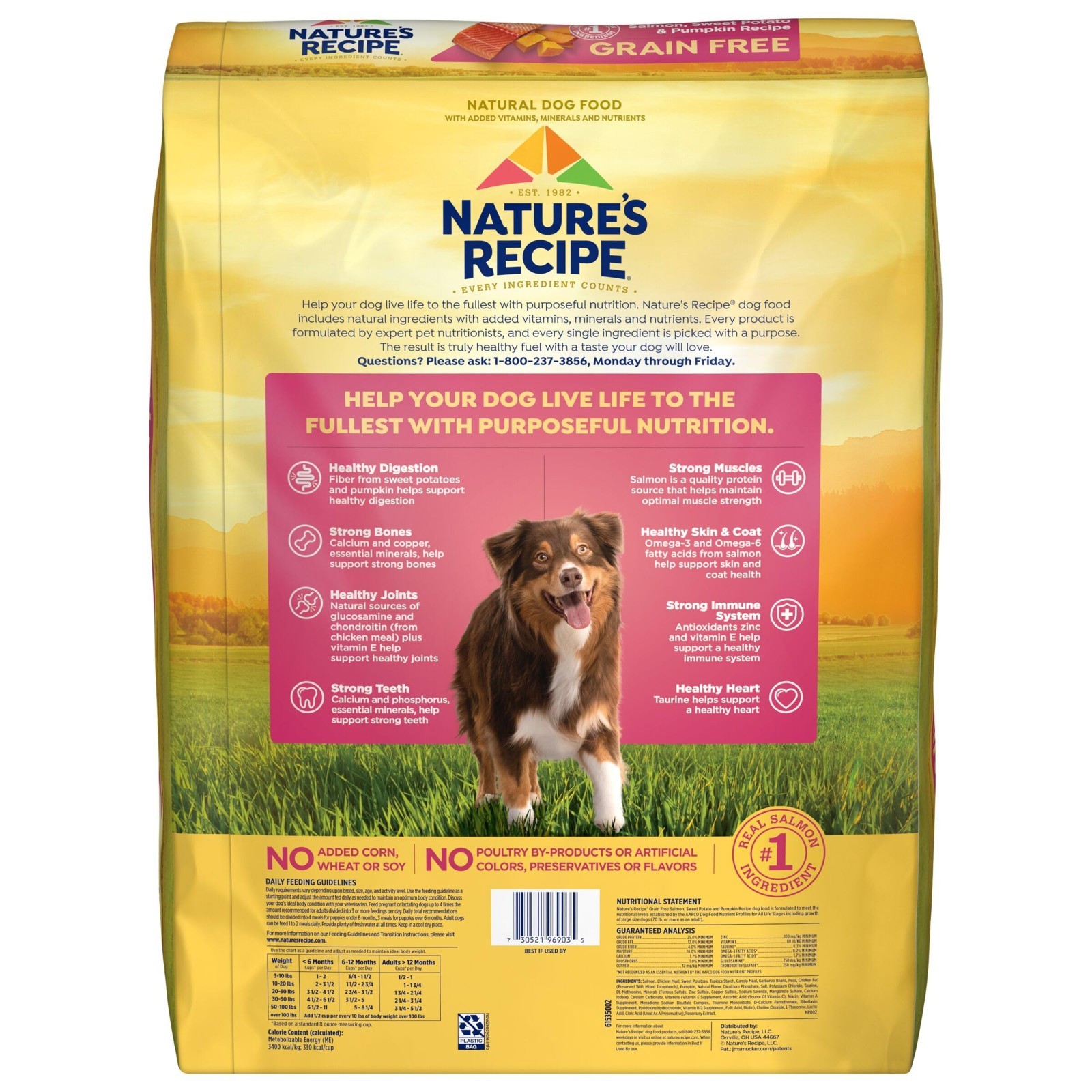 Nature’s Recipe Grain Free Dry Dog Food,Salmon,Sweet Potato & Pumpkin Recipe,34l