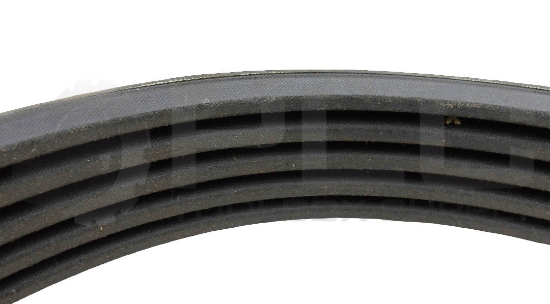 NEW JASON R3V800 V BELT