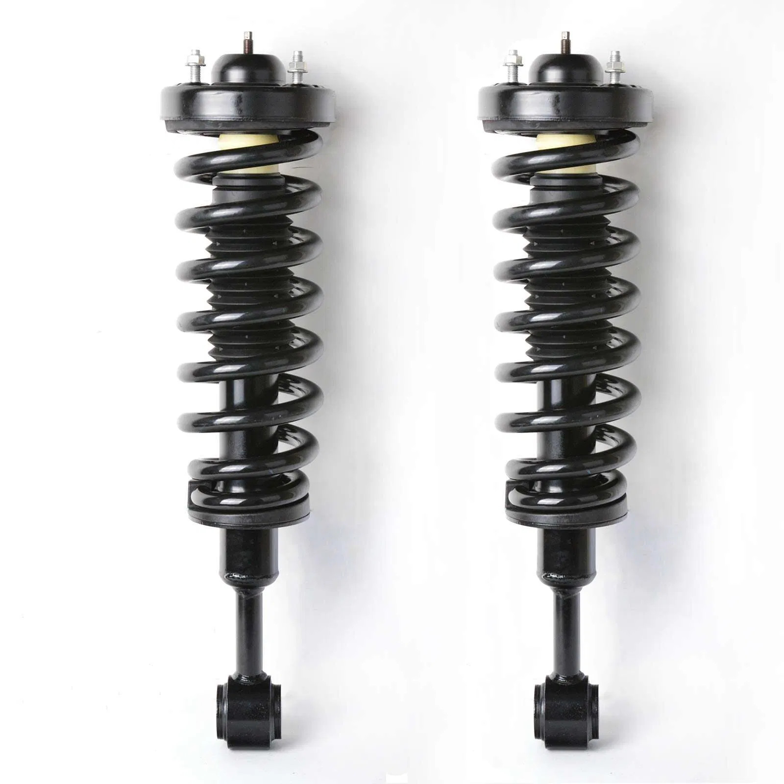 US GARVEE Front Pair Complete Strut Spring Assembly Compatible for 2004-2008 F15