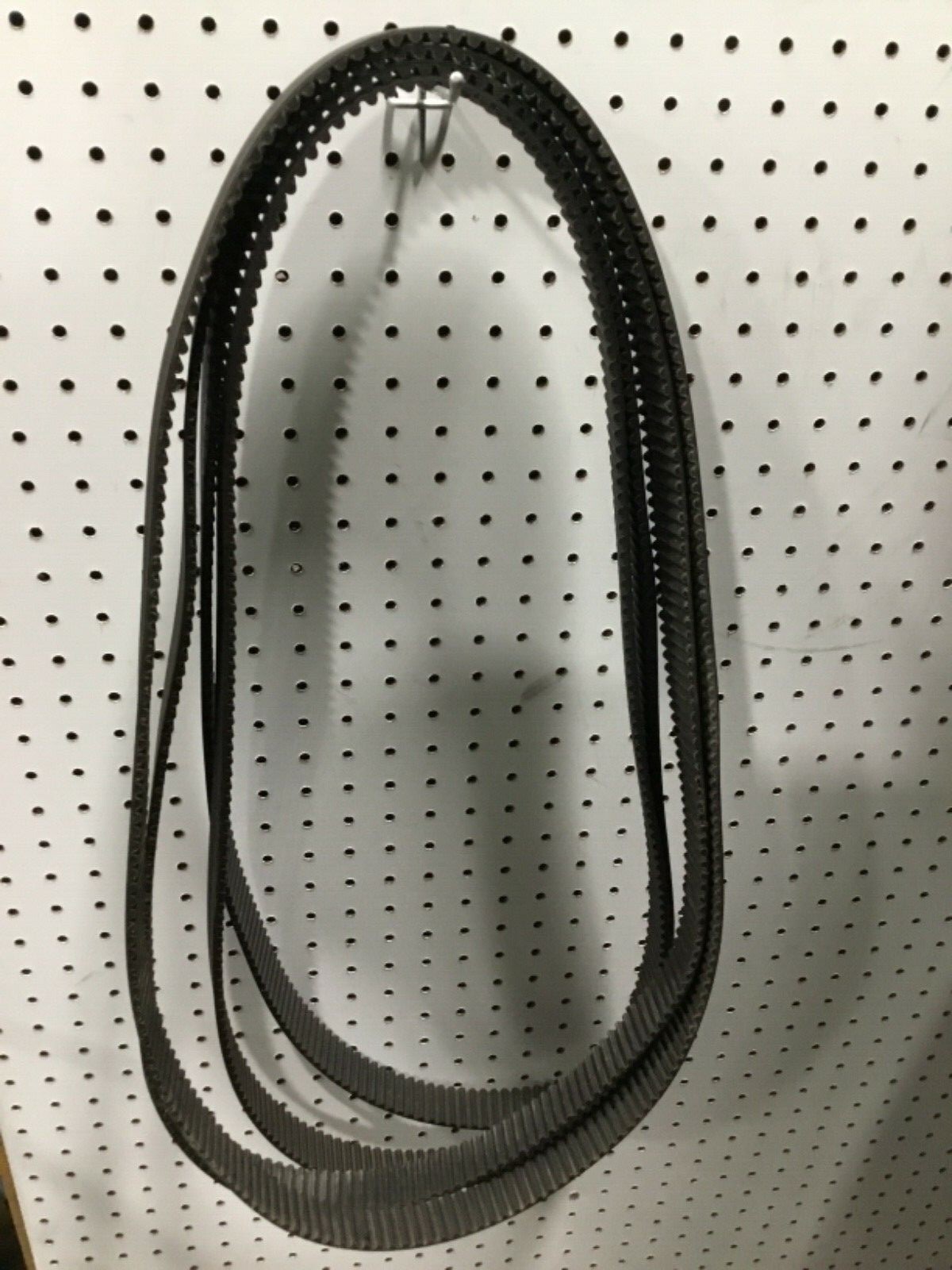 Lot Of 4 Continental Contitech HTD 1600-8M Timing Belt #303BTKE51PR6