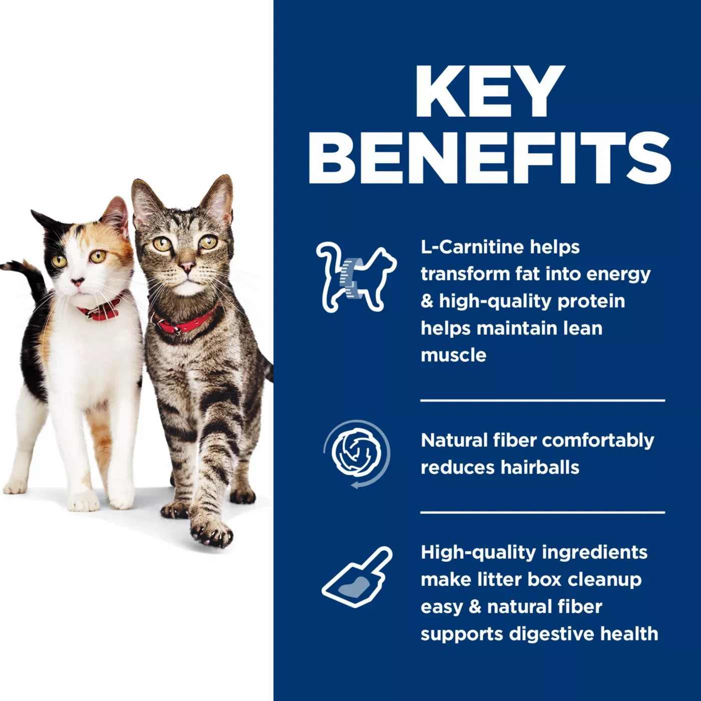 Hill’s® Science Diet® Multiple Benefit Adult Dry Cat Food – Chicken, 15.5 lb Bag