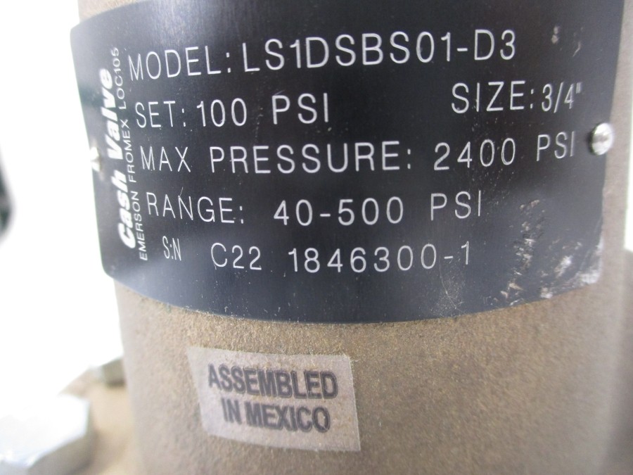 CASH VALVE LS1DSBS01-D3 100PSI 3/4″ NSNP
