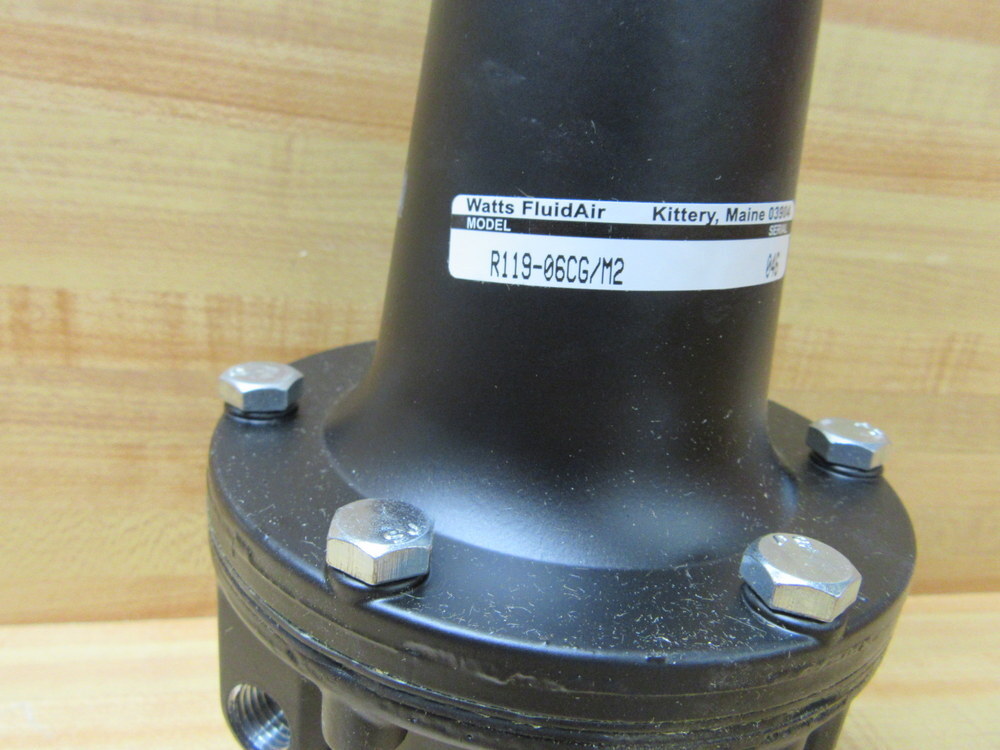 Watts R119-06CG/M2 Regulator w/Gauge R11906CGM2