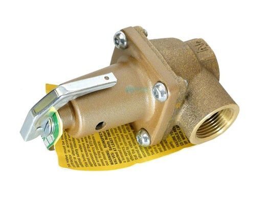 Raypak 007225F PRV 150 PSI 3/4 Inch 2,445,000 BTU Relief Valve