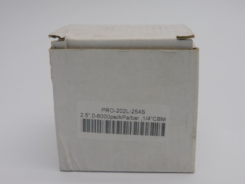 GAUGE PRO-202L-254S 0-6000PSI NSMP