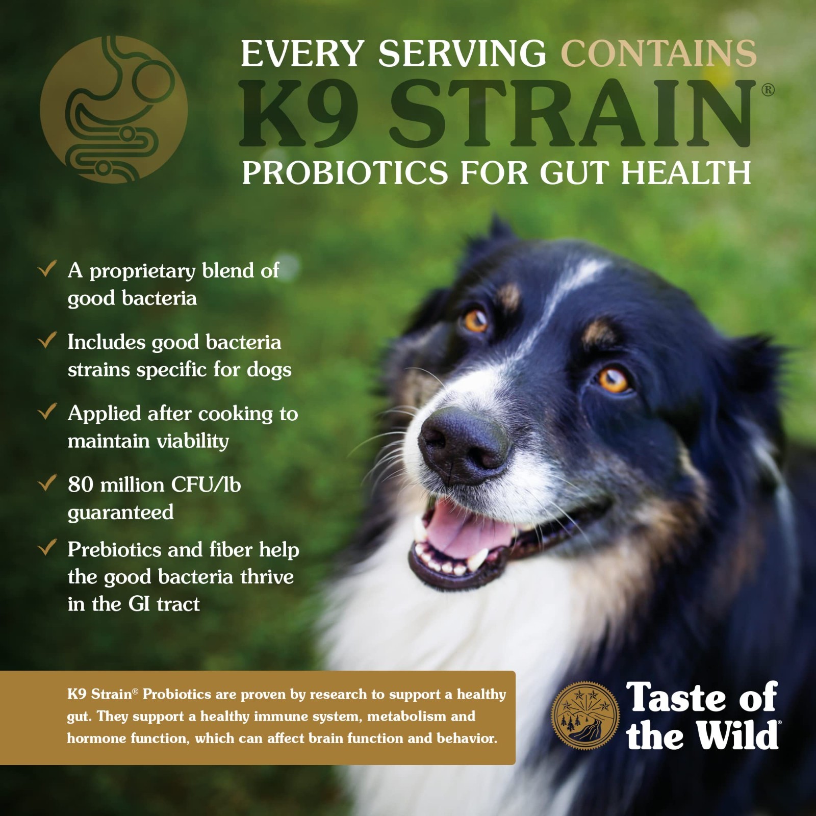 Taste of the Wild Pacific Stream Puppy Recipe Smoke-Flavored Salmon Dry Food28lb
