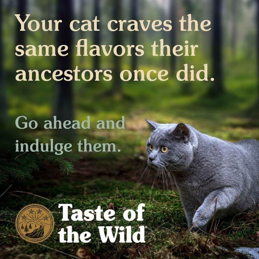 Taste of the Wild Canyon River Grain-Free with Trout & Smoke-Flavored Salmon Dry