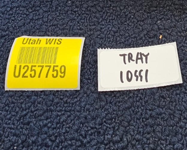 2740 W23: Yellow Bucket Tooth Fits Case/International Harvester