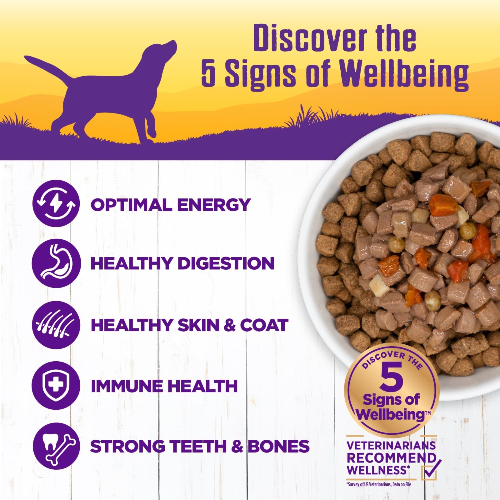 Wellness® Stews All Life Stage Wet Dog Food – Natural, Beef, 12.5 oz – 24 count